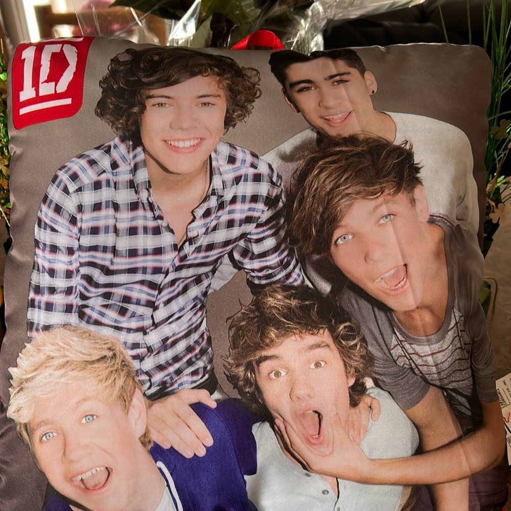 One Direction Picture Perfect Decorative Pillow